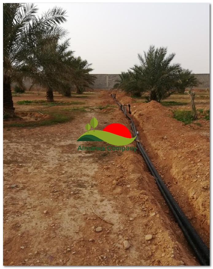 تمديد شبكات الري بالطائف