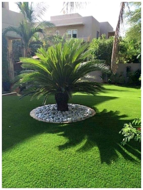 تنسيق حدائق القطيف