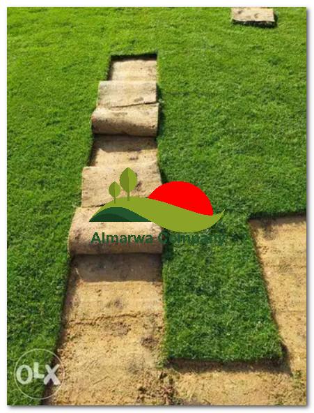 توريد وتركيب نجيلة طبيعى بابها 0567358818