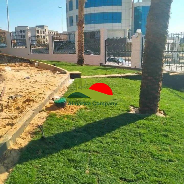 توريد وتركيب نجيلة طبيعى بابها7