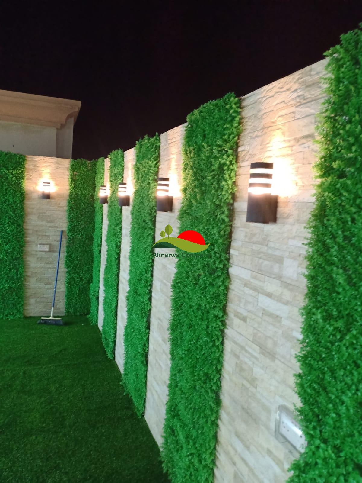 عشب جداري بقطر