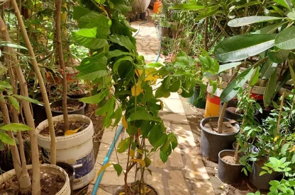 شركة تركيب شبكات الري بالقصيم للايجار 01025284450