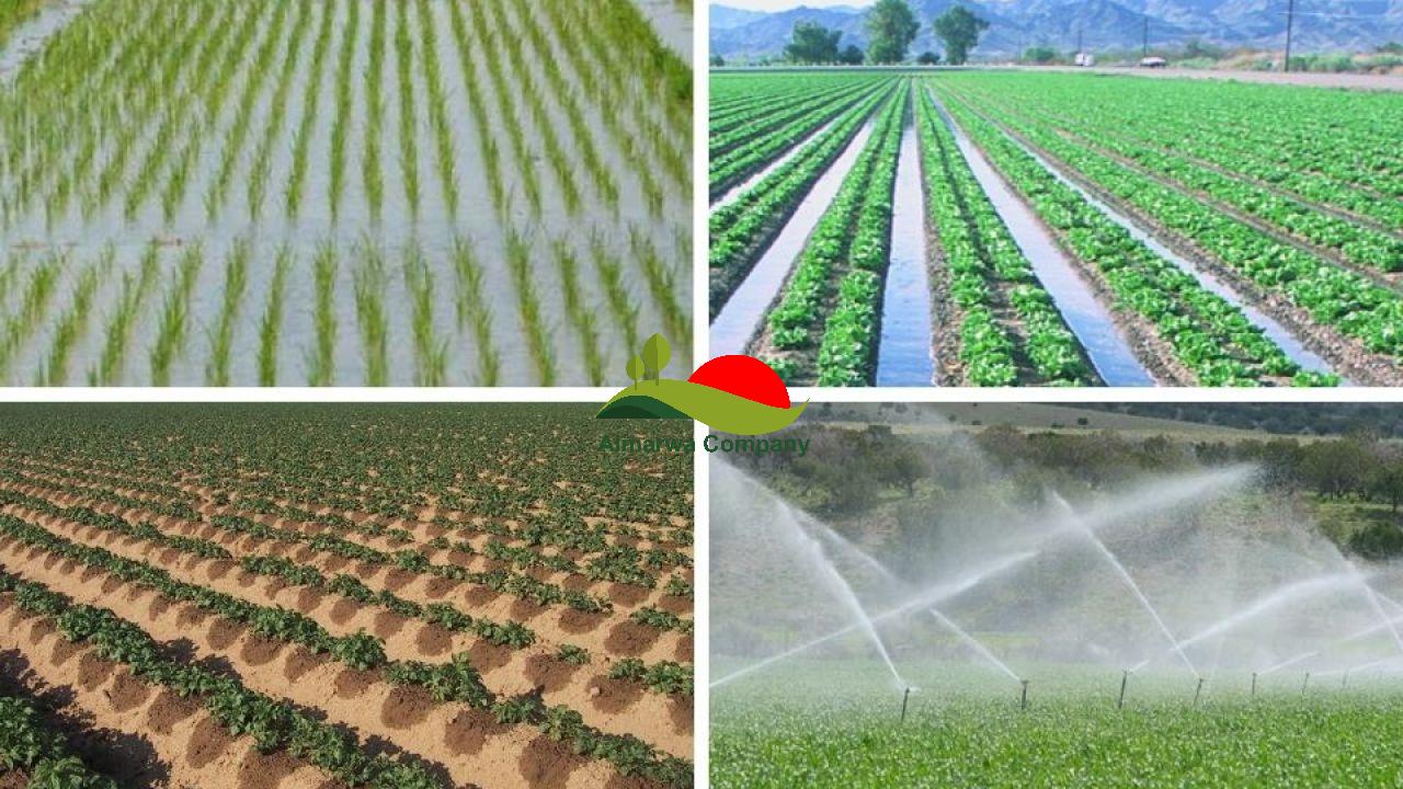 شركة تركيب شبكات الري بالقصيم
