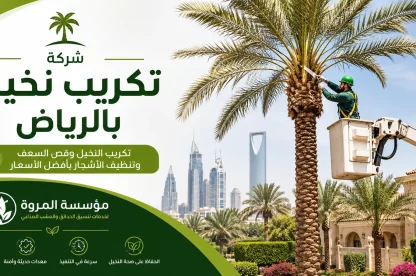 شركة تكريب نخيل بالرياض للايجار
