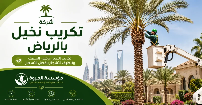 شركة تكريب نخيل بالرياض للايجار