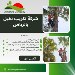 شركة تكريب نخيل بالرياض للايجار