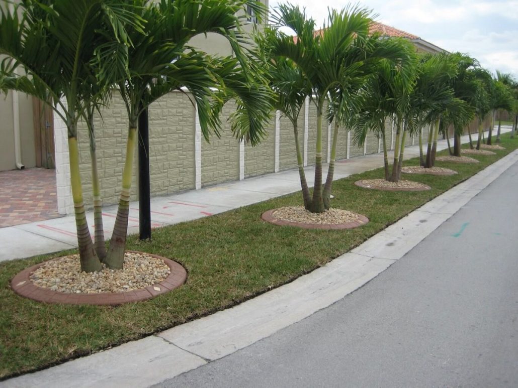 شركة تكريب نخيل بالرياض2 1030x773