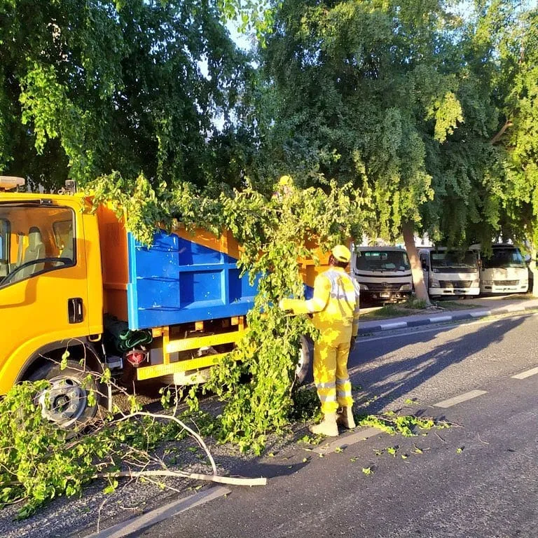 عامل قص اشجار بالرياض
