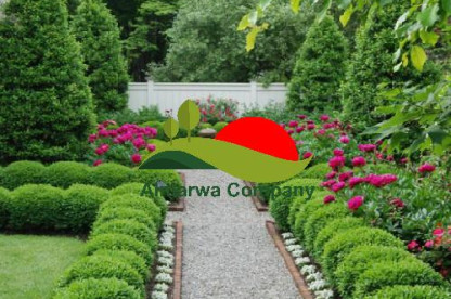 عامل قص اشجار بالرياض