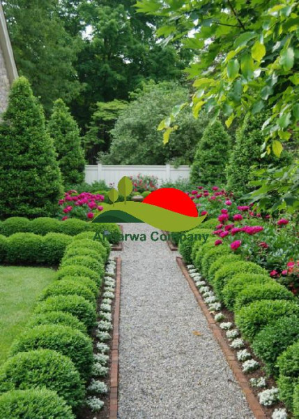عامل قص اشجار بالرياض