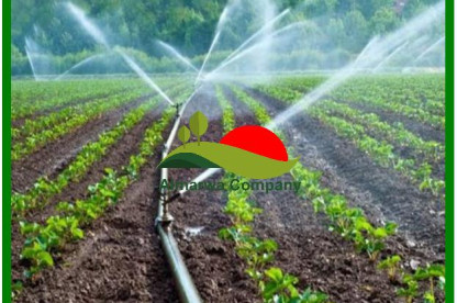 شركة تركيب شبكات الري ببريدة للايجار 01025284450