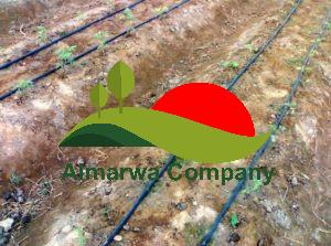 شركة تركيب شبكات الري بعنيزة