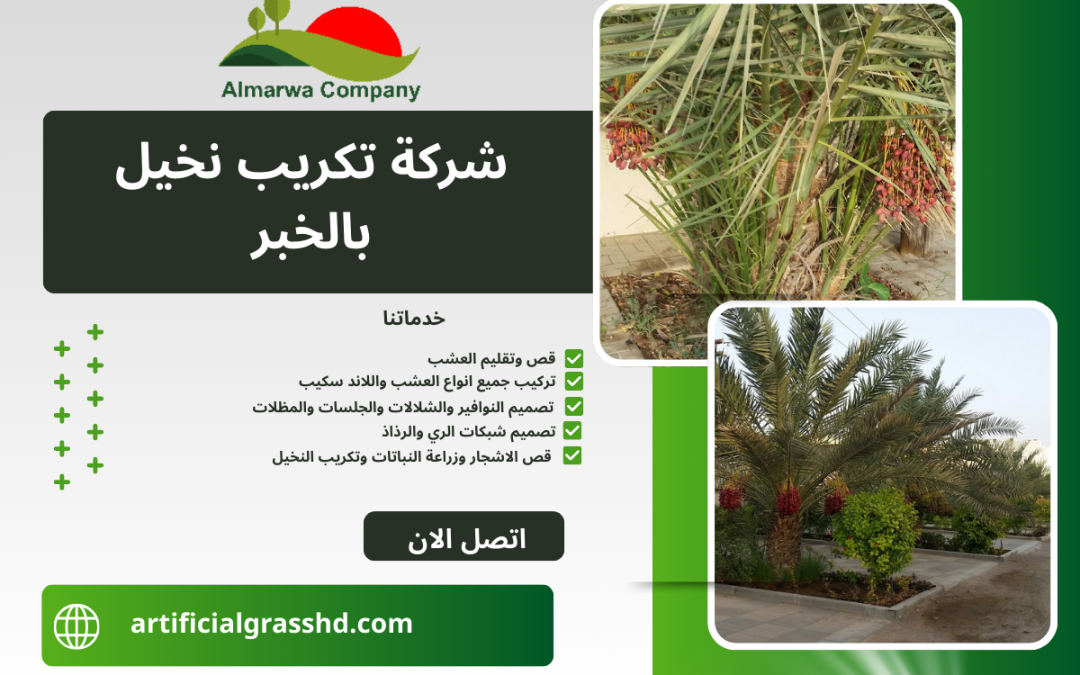 شركة تكريب نخيل بالخبر 0569968196 ابو عبد الرحمن