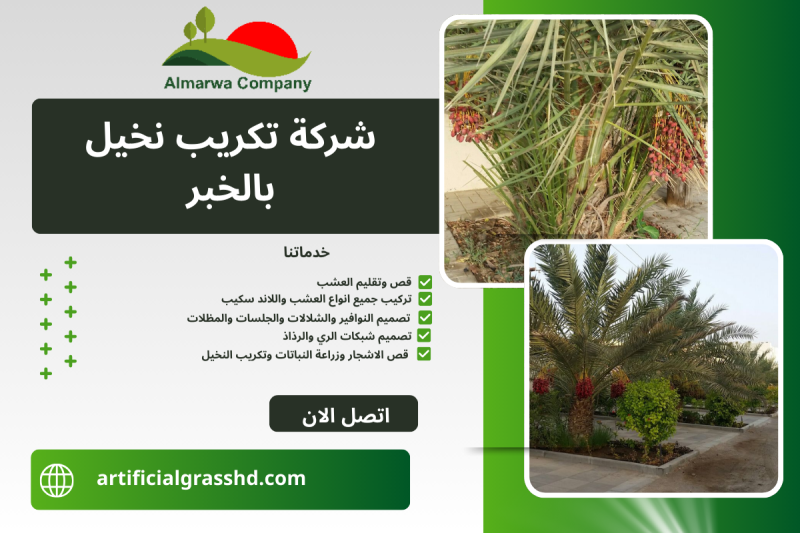 شركة تكريب نخيل بالخبر