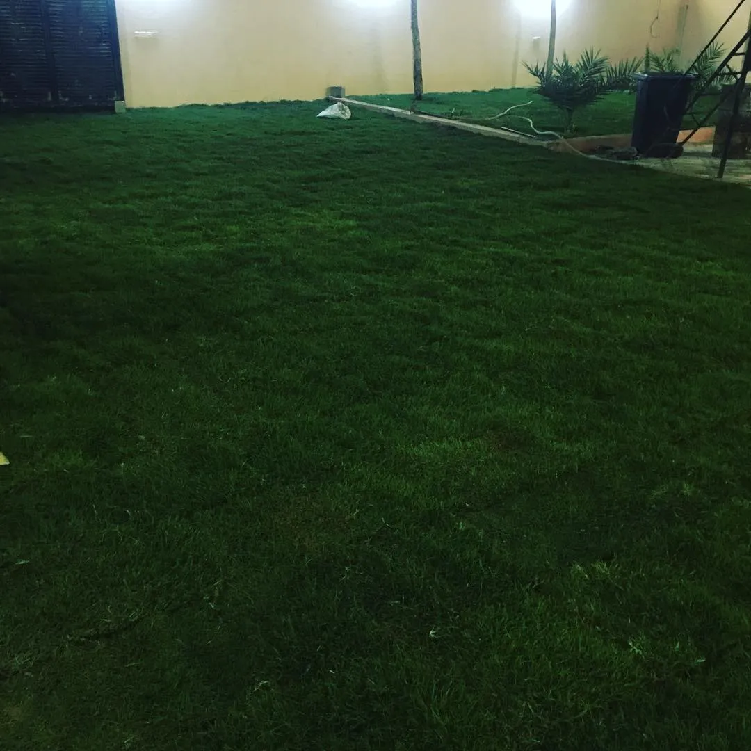 شركة توريد وتركيب عشب طبيعي ابوظبي