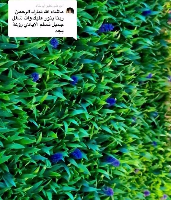 تركيب عشب جداري بجدة  للايجار 01025284450
