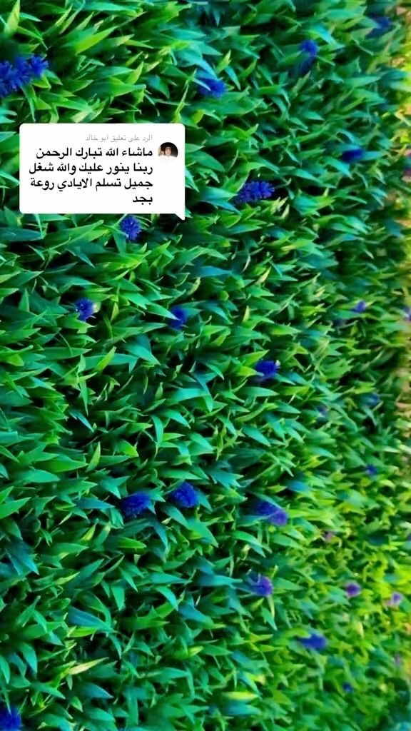 تركيب عشب جداري بجدة