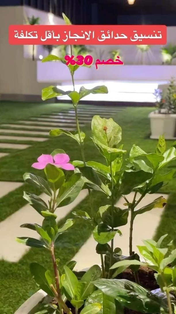 شركة تركيب عشب صناعي بجدة 