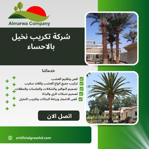 شركة تكريب نخيل بالاحساء 0559934139