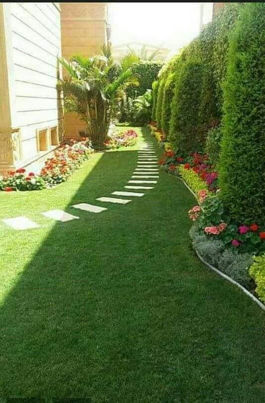 تنسيق حدائق شرم الشيخ