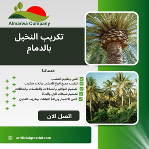 تكريب النخيل بالدمام 0569968196