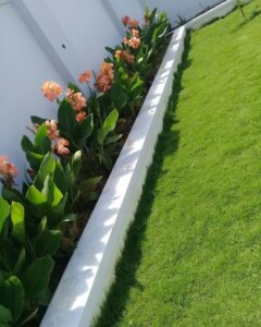 شركة تنسيق حدائق في ابوظبي