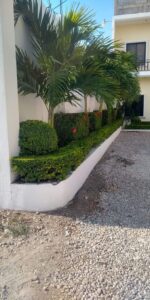 شركة تنسيق حدائق في ابوظبي