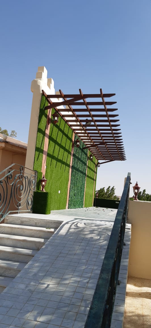 تركيب عشب جداري بالخرج