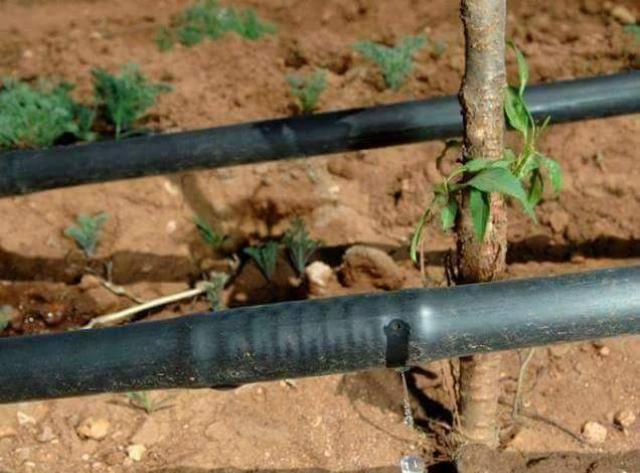 تركيب شبكات الري بالخرج