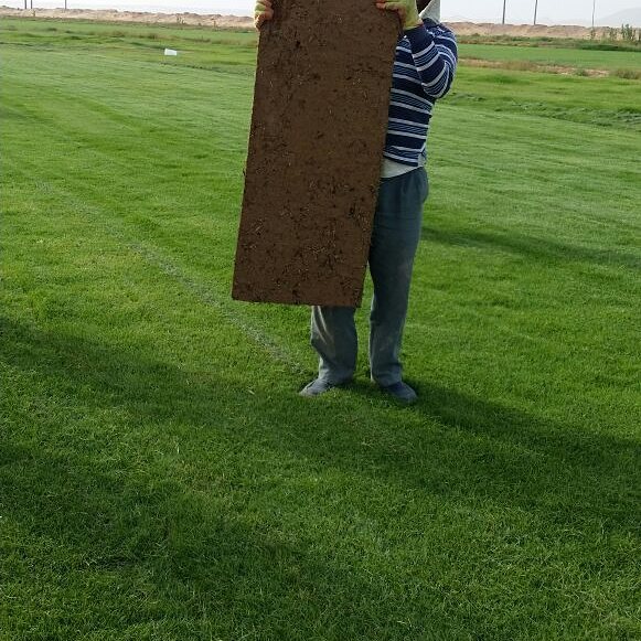 شركة تركيب عشب طبيعي بجدة 