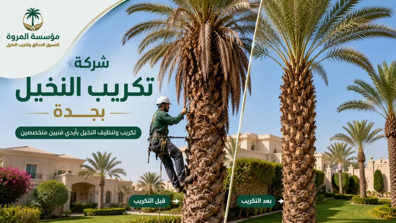 شركة تكريب النخيل بجدة للايجار