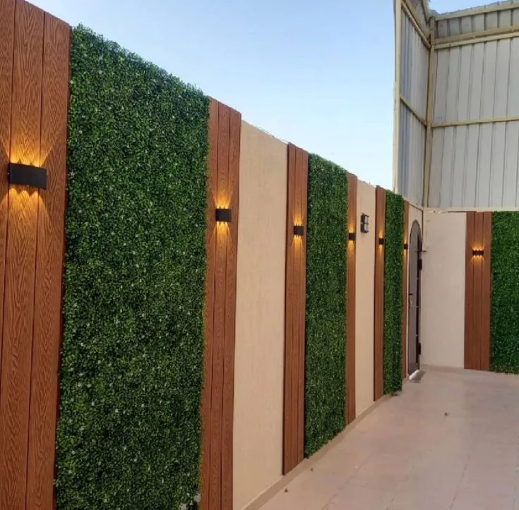 تركيب العشب الجداري بالطائف