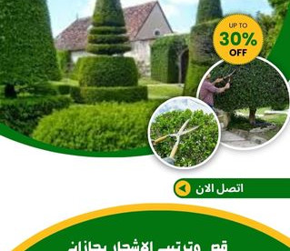 قص وترتيب الاشجار بجازان للايجار 01025284450