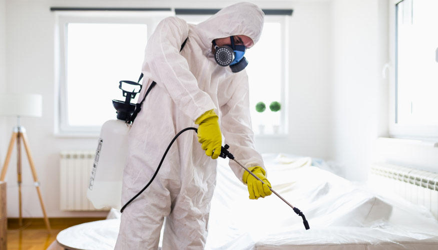 الشركة الالمانيه لمكافحة الحشرات في المنيا