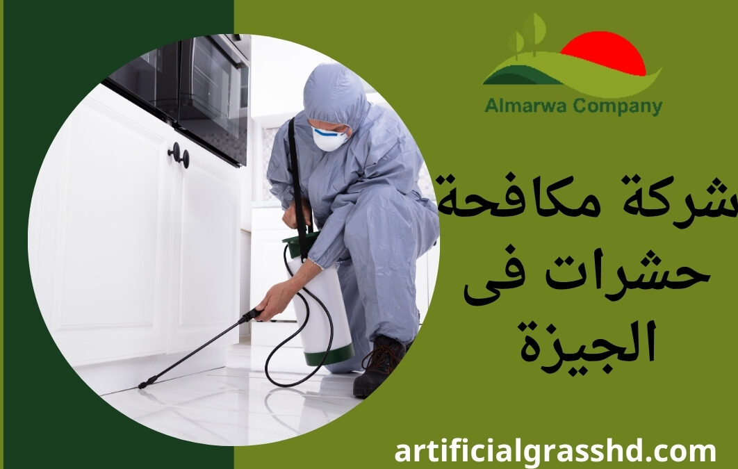 شركة مكافحة حشرات فى الجيزة 01010890769