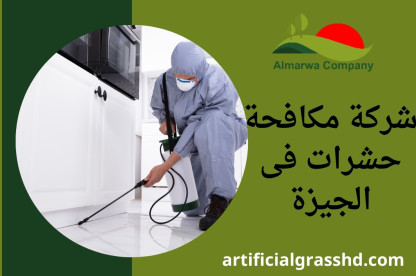 شركة مكافحة حشرات فى الجيزة 01010890769