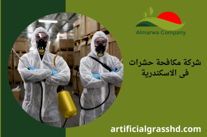 شركة مكافحة حشرات فى الاسكندرية 01010890769