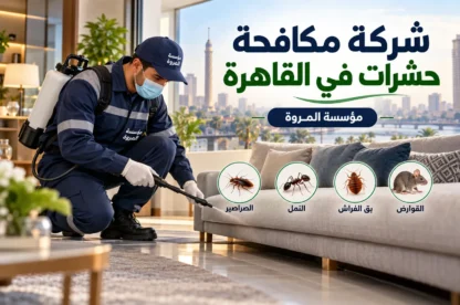 شركة مكافحة حشرات في القاهرة 01033160250