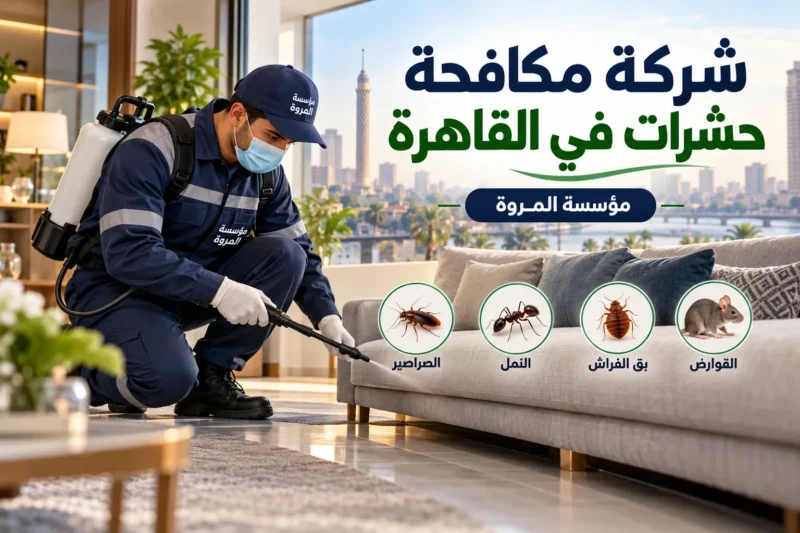 شركة مكافحة حشرات في القاهرة 01033160250