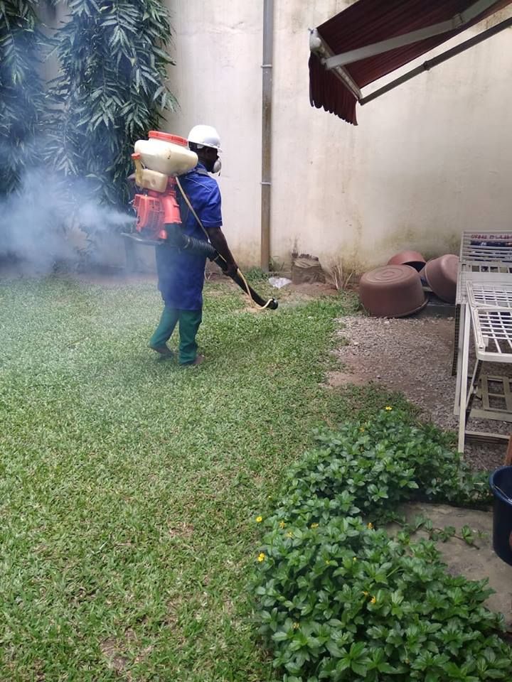 شركة مكافحة الفئران في أسوان