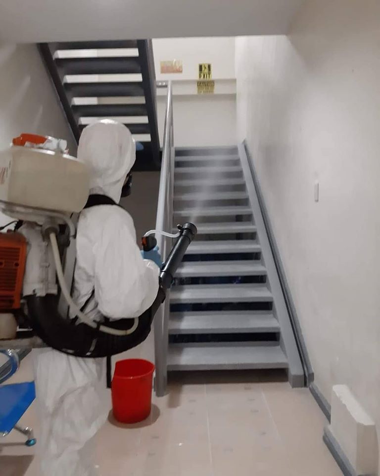 الشركة الالمانيه لمكافحة الحشرات في اسوان