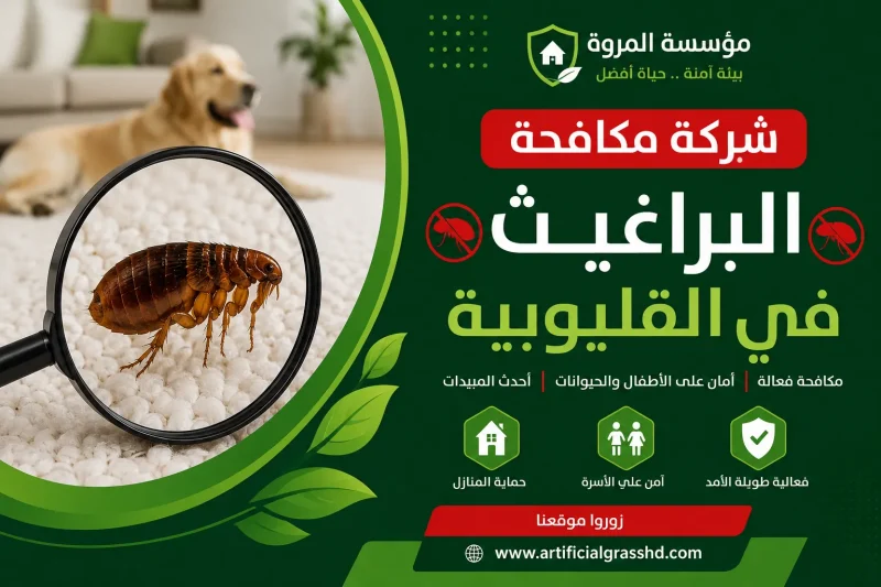 شركة مكافحة البراغيث في القليوبية 01033160250