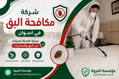 شركة مكافحة البق في اسوان
