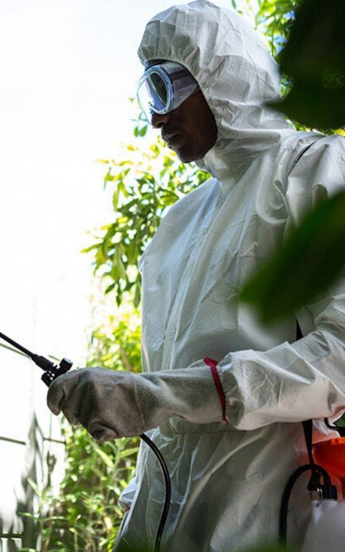 الشركة الالمانيه لمكافحة الحشرات في الاقصر