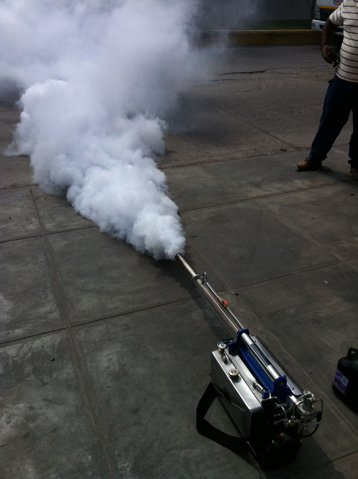 شركة مكافحة الفئران في أسوان