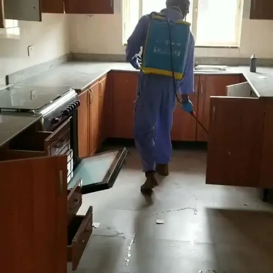 شركة مكافحة صراصير في اسوان