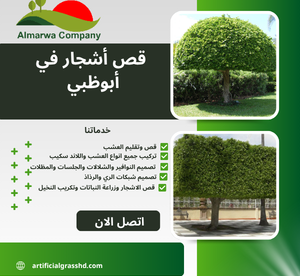 قص أشجار في أبوظبي
