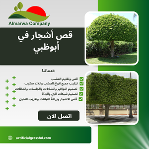 قص أشجار في أبوظبي 