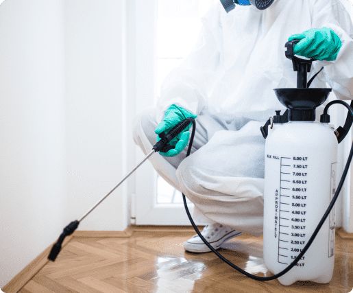 الشركة الألمانية لمكافحة الحشرات في سوهاج