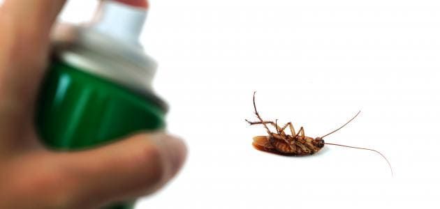 الشركة الالمانيه لمكافحة الحشرات في قنا